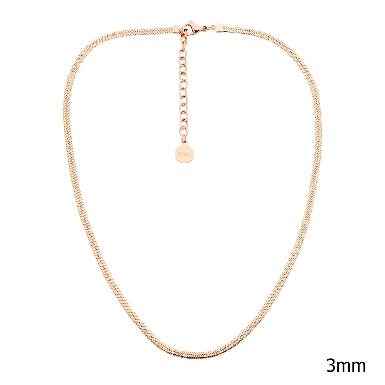 Stainless Steel Chain