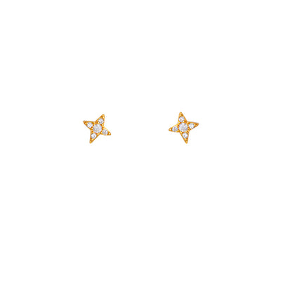 Shine Stud Earrings
