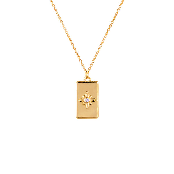 February Birthstone Necklace