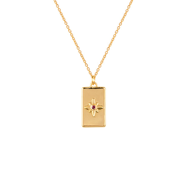 January Birthstone Necklace